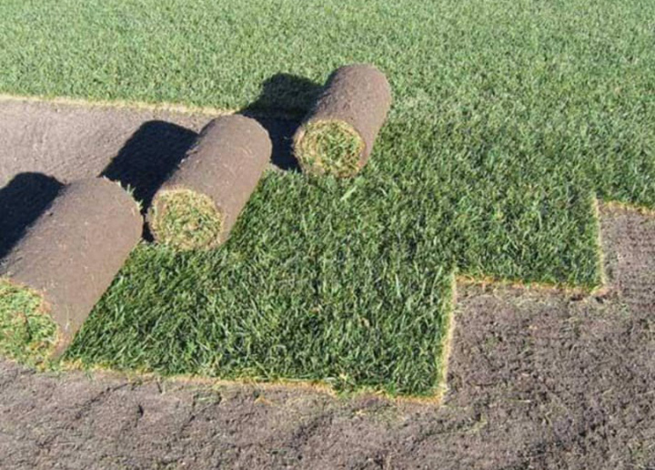 Peyzajda Hız ve Kalite Devrimi! CAKIR RULO ÇİM, 8 Yıllık Tecrübesiyle Sektöre Yön Veriyor